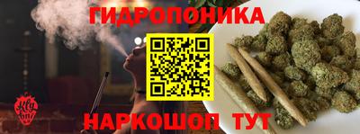 шишки Пугачёв