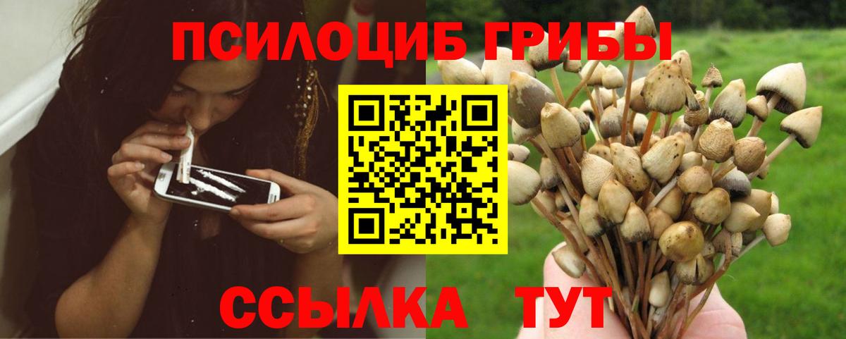 Псилоцибиновые грибы Psilocybine cubensis  Вход с VPN  как найти закладки  Ржев  Псилоцибиновые грибы прущие грибы 