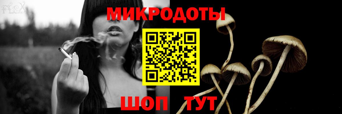 Галлюциногенные грибы мухоморы Ржев